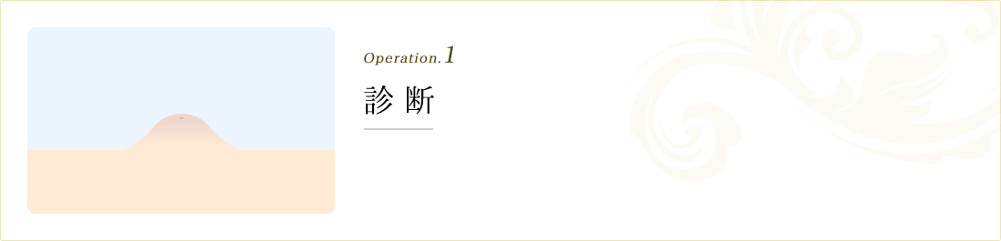 operation.1 診断