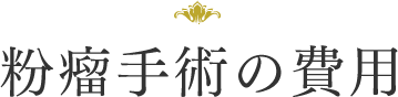 粉瘤手術の費用