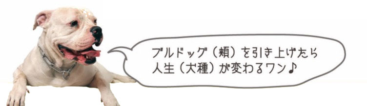 疲れ肌・ダメージ肌のアフターケアは、お早めに